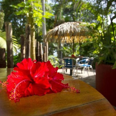 Villas Del Caribe Puerto Viejo de Talamanca Ngoại thất bức ảnh