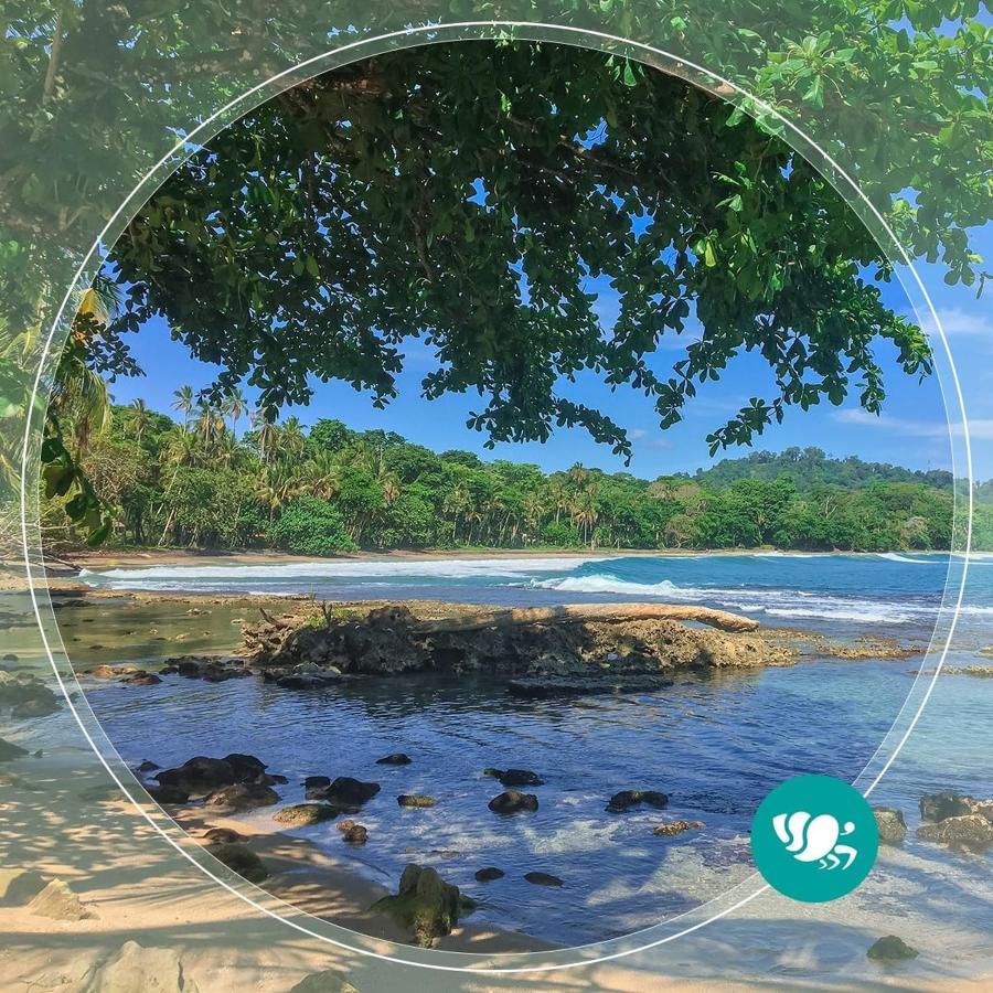 Villas Del Caribe Puerto Viejo de Talamanca Ngoại thất bức ảnh