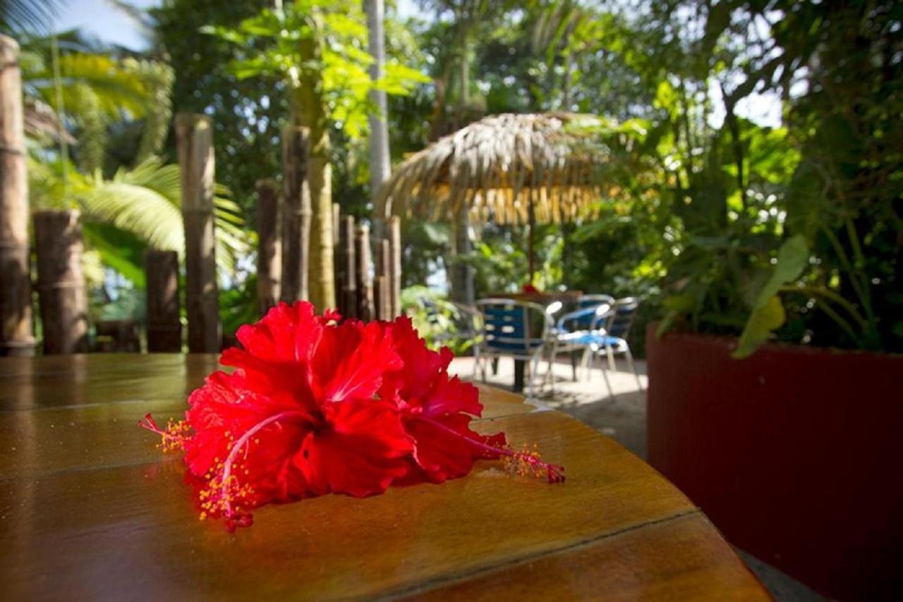 Villas Del Caribe Puerto Viejo de Talamanca Ngoại thất bức ảnh